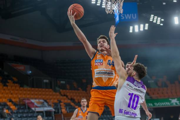 他们不仅提 他们不仅提